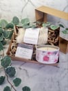 Black Raspberry Vanilla  Soap & Candle Set 