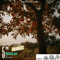 Image 1 of Timberline Select ~ Sweet Oranges Reg 5pk