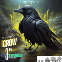 Image 2 of Timberline Select ~ Sticky Crow