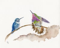 Image 7 of Fatal Flaw Hummingbirds-Poster Print
