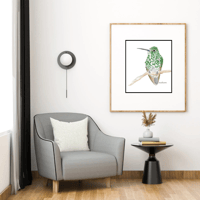 Image 4 of Green Thornbill Hummingbird- Poster Print