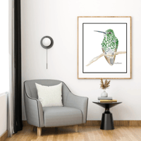Image 1 of Green Thornbill Hummingbird- Poster Print