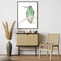 Image 8 of Green Thornbill Hummingbird- Poster Print