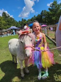 Image 6 of Princess Tea Party, colorful unicorns, princess appearance, snow fall, MORE! 