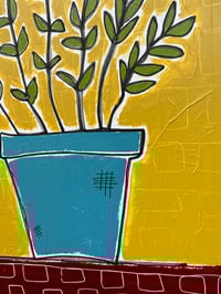 Image 2 of Money Plant