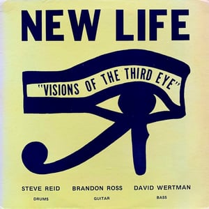 New Life Trio – Visions Of The Third Eye (Mustevic Sound Records – MS 6001 - US - 1980)