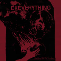 EX EVERYTHING-SLOW CHANGE WILL TEAR US APART LP