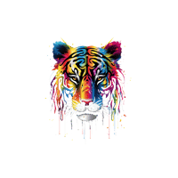 TIGER 7 HOODIE