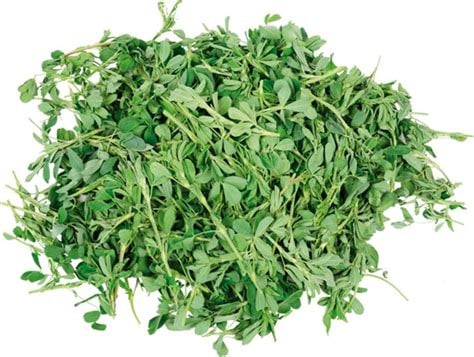 ALFA-FLUSH! Alfalfa Juice Powder/ Leaves-Stems. Kidneys-Bone-Bowel-Menopause.