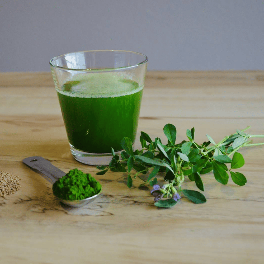 ALFA-FLUSH! Alfalfa Juice Powder/ Leaves-Stems. Kidneys-Bone-Bowel-Menopause.