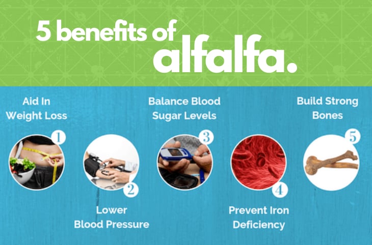 ALFA-FLUSH! Alfalfa Juice Powder/ Leaves-Stems. Kidneys-Bone-Bowel-Menopause.