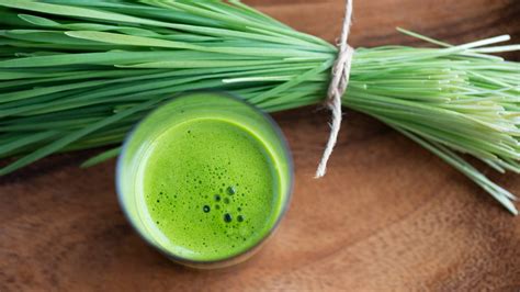 Grass Roots! Kamut Wheatgrass-Pasta-Cereal-Flour. Detoxer-Hormones-Radiation