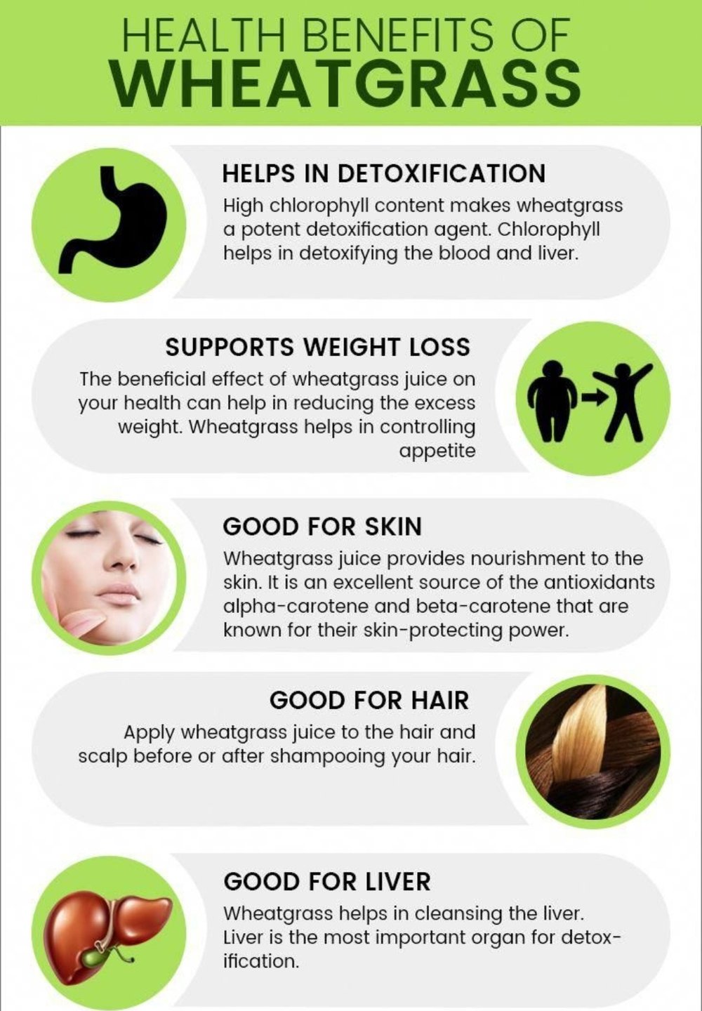 Grass Roots! Kamut Wheatgrass-Pasta-Cereal-Flour. Detoxer-Hormones-Radiation