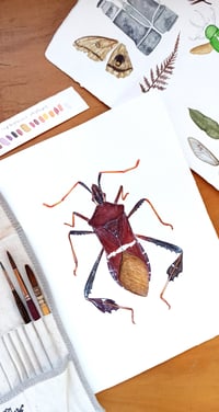 Image 6 of Leptoglossus phyllopus Watercolor Illustration PRINT 