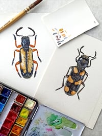 Image 4 of Two Beetles Watercolor Illustration PRINT 