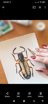 Image 6 of Two Beetles Watercolor Illustration PRINT 