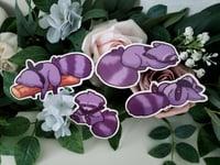 Image 2 of Sleepy Taro Vinyl Stickers