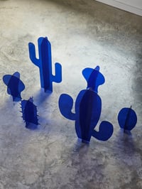 Image 4 of Blue Cacti