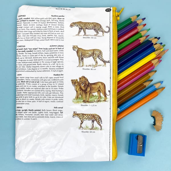 Image of Lion/Cheetah/ Hyena Book Page Pencil Case