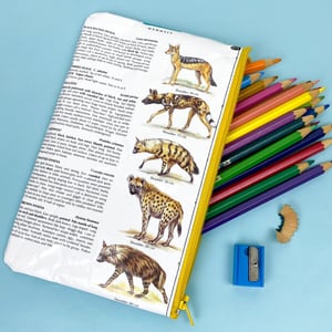 Image of Lion/Cheetah/ Hyena Book Page Pencil Case