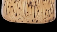 Image 4 of Vintage Johnny Sens Square Tooth Mug FREE SHIPPING 