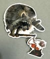 Trash Panda sticker