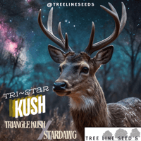 Image 3 of NEW~Tree Line Seed's ~ Tri-Star Kush Reg 5pk