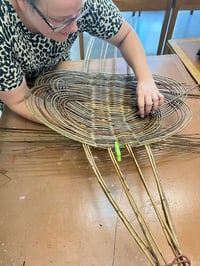 Image 2 of Petals and Pots: Zarzo Basket workshop 