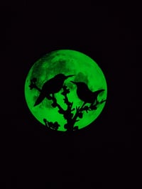 Image 2 of Birds Above The Pines