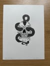 skull and snake 