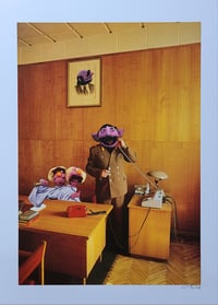 Image 1 of 'The Colour Purple'