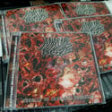 MIASMIC OOZE - Terrain of Inflamed Pustules [MCD]