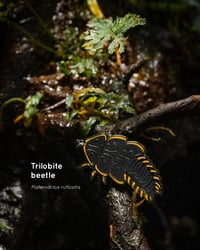 Image 1 of Trilobite beetle hard enamel pin