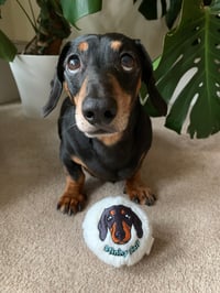 Stinky Ball 