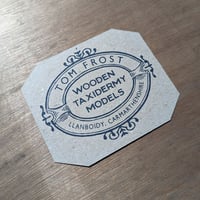 Image 3 of Gannet Taxidermy