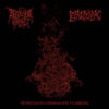 Rotting Grave / Leprophiliac - Profecías de condenación y carroña [MCD]