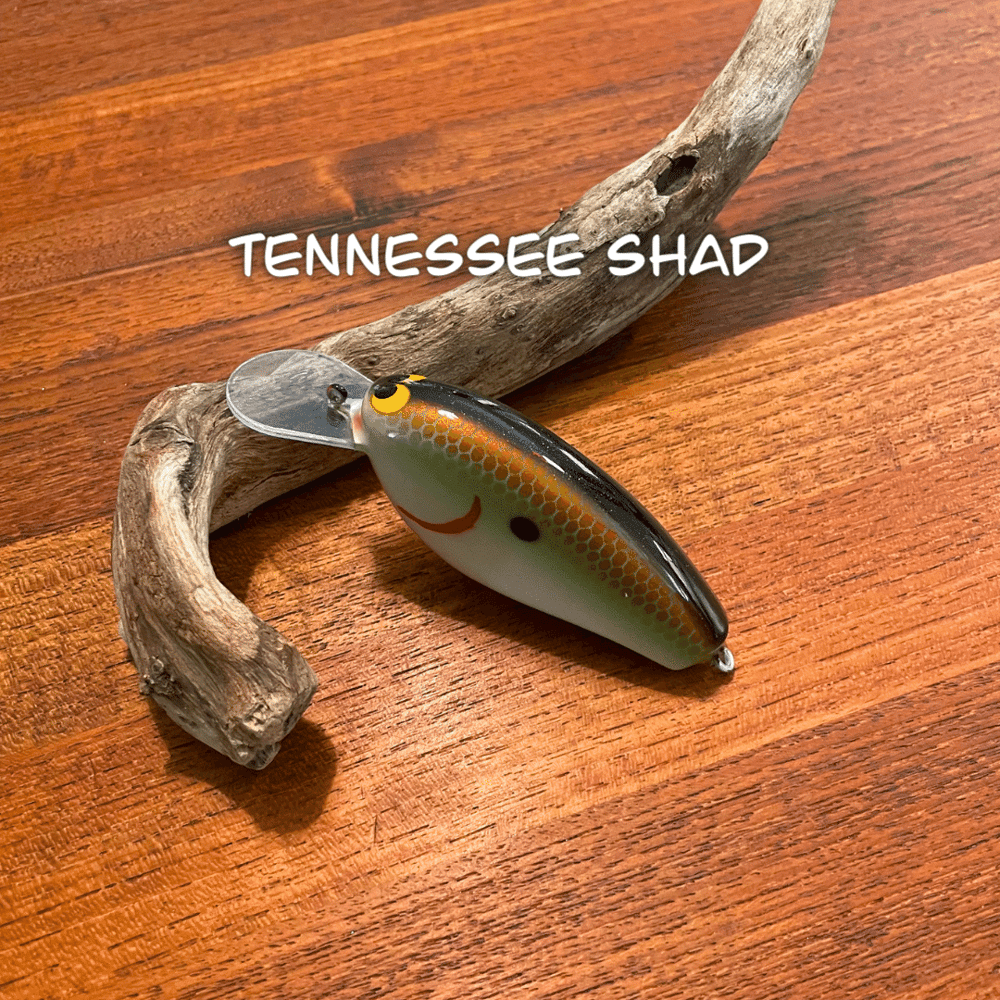 Epic Shad--Medium Diver - Image 5