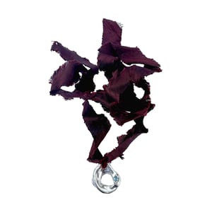 Image of PLUM SEAWEED