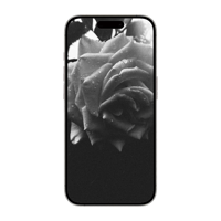 Rose Wallpaper