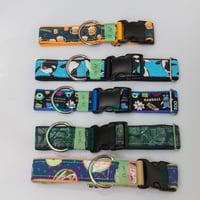 Image 2 of Ready to Ship Buckle Collar  |  1.5" Width