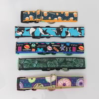 Image 1 of Ready to Ship Buckle Collar  |  1.5" Width