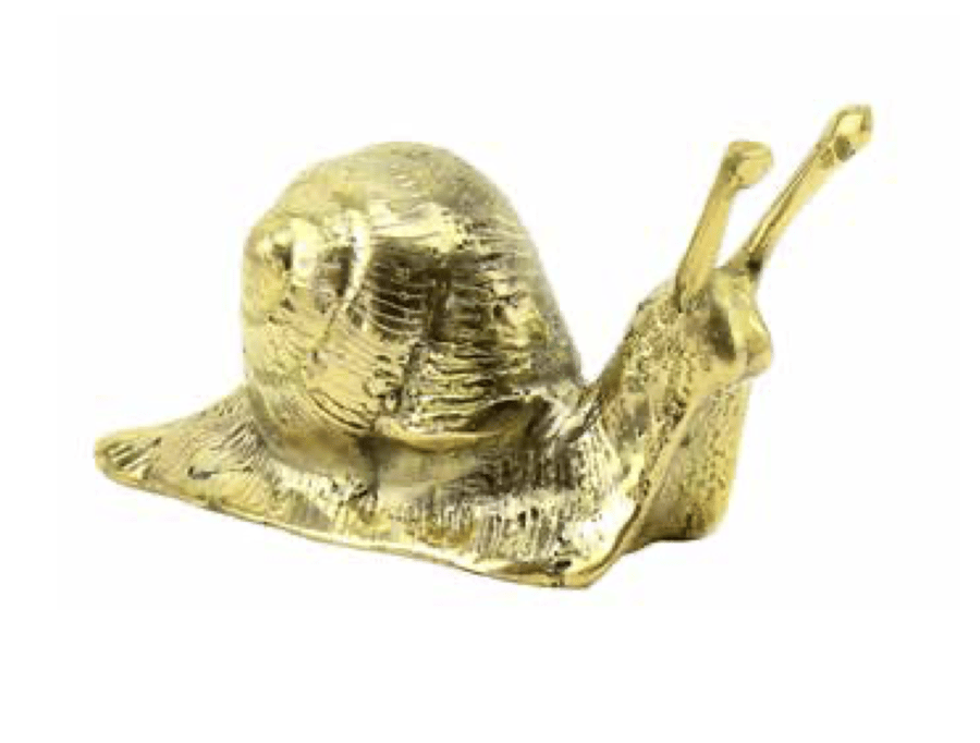 Image of Brass Snail