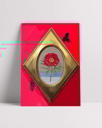 Image 1 of LA CITA, 2024