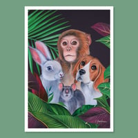 Image 1 of Stop Animal Testing | Postcard