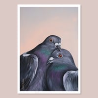 Image 1 of Pigeons are beautiful | Postcard