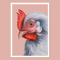 Image 1 of Hen | Postcard