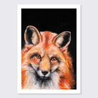 Image 2 of Fox | Postcard