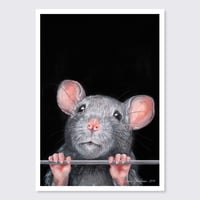 Image 2 of Stop Animal Testing, Mouse | Postcard