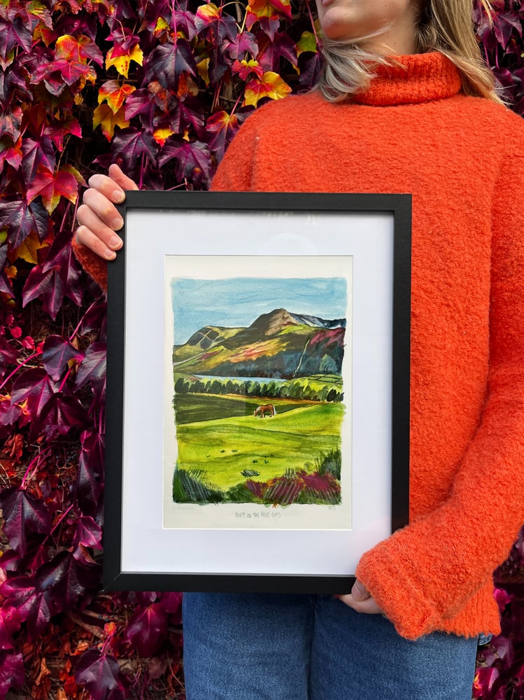 Image of pony on the fells print