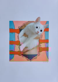 Image 1 of 'Gut Felines'
